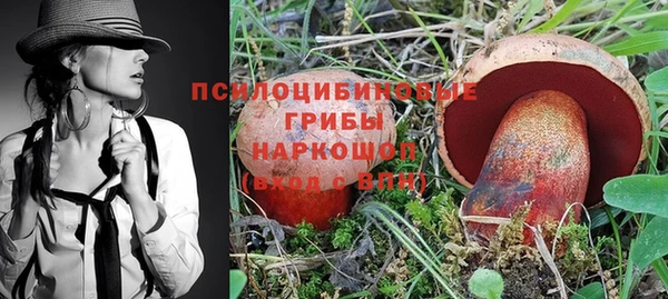первитин Армянск