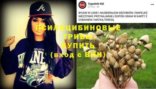гидропоника Аркадак