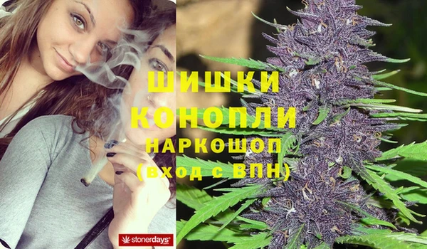 гидропоника Аркадак