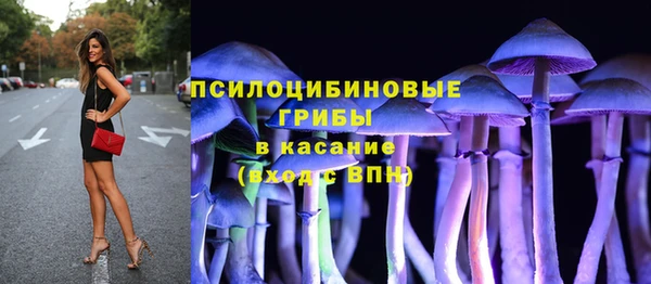гидропоника Аркадак