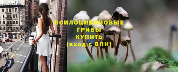 а пвп мука Балабаново