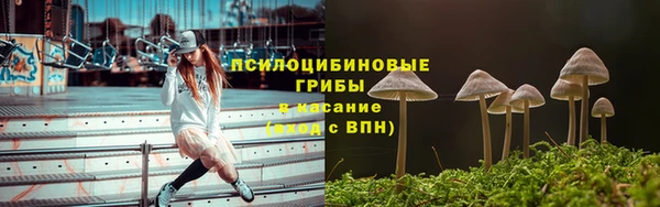 Альфа ПВП Арсеньев