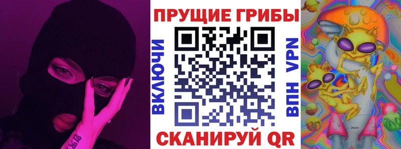 Купить  Свободный  Псилоцибиновые грибы MAGIC MUSHROOMS 
